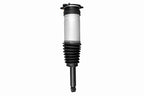 TESLA Model S 5YJS Shock Absorber - V58-0284 VAICO